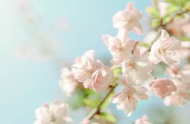 底线的句子，底线的句子搞笑（做人的底线，就7句<精辟>）