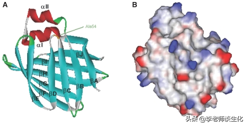 酶促反应的专一性是由什么决定的，酶促反应决定酶专一性的是（脂肪酸的转运与氧化分解）