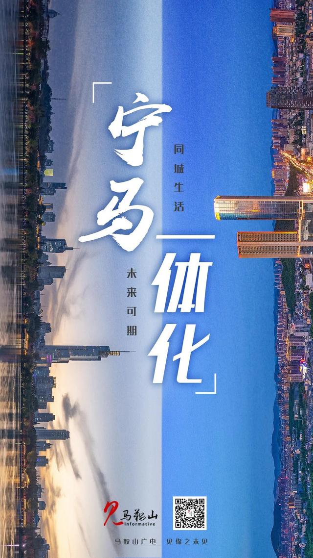 海桐小毛球多少钱一棵，海桐球1.2米的价格（宁马城际铁路再传新进展）