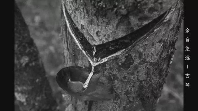 古琴制作过程，古琴制作过程图片（带你去看古琴的制作）