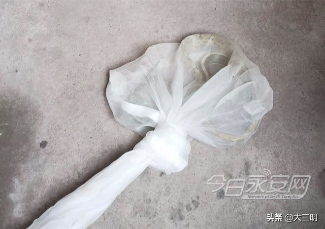 蛇的形态特征和生活习性，蛇的形态特点（永安人，蛇出没）