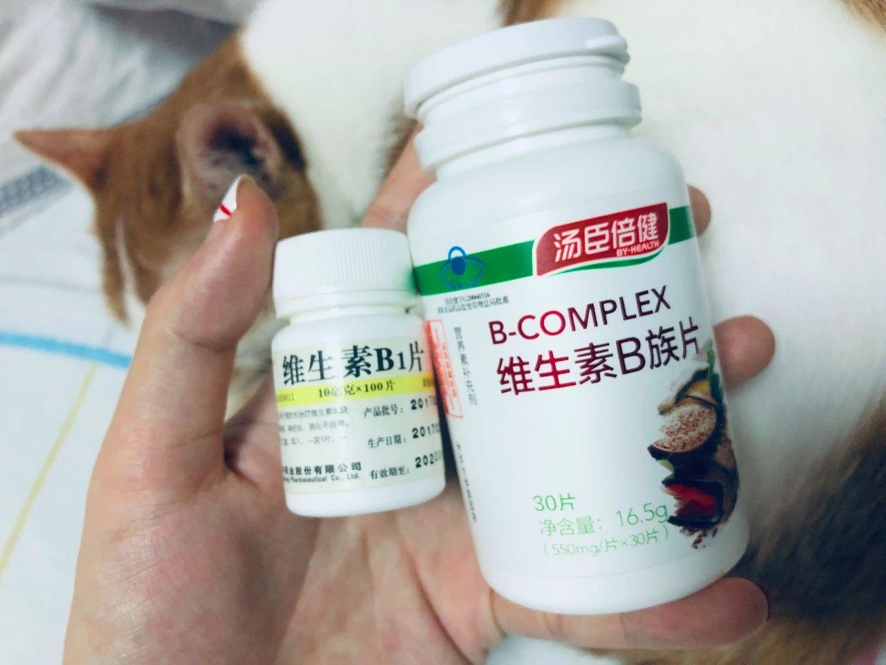 维生素b2猫咪吃多少 给猫吃维生素b2吃多少