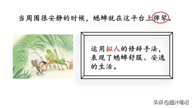 蟋蟀的住宅指的是什么，蟋蟀的住宅 是指什么（第三单元《蟋蟀的住宅》课文讲析）
