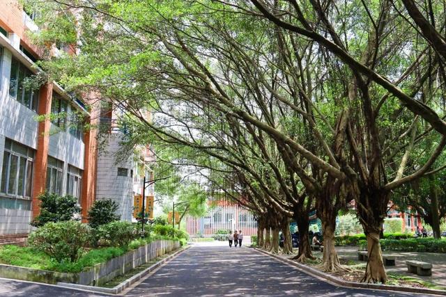 广州康大职业学院，广州康大职业技术学院在青海招生人数、录取分数线、位次[2022招生计划]（广东大学巡礼-广州康大职业技术学院）