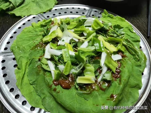 東北飯包的菜葉叫什麼,飯包白菜葉屬哪個品種(東北的菜飯包的魅力)