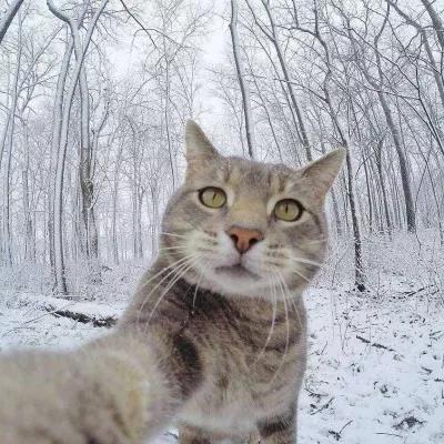 植物大战僵尸头像，植物大战僵尸6人团头微信（在吗？组队换头像啦）