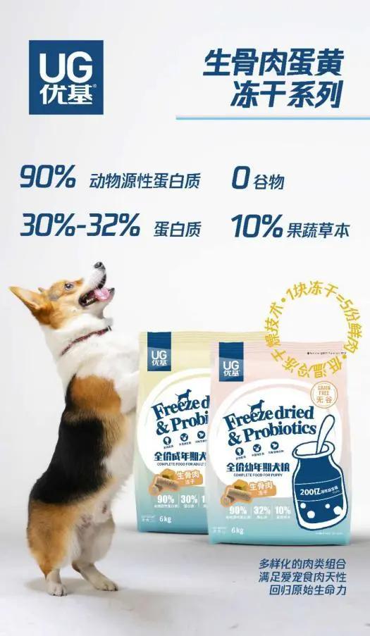 办狗证有什么用，狗狗办了狗证有什么用（狗狗或面临被“处死”风险）