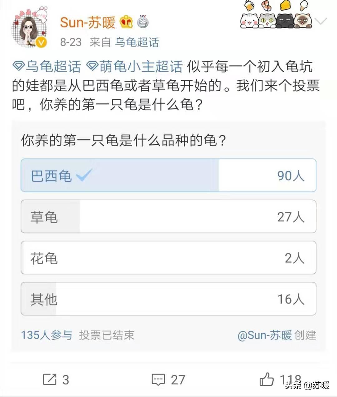 巴西龟饲养全攻略：新手入门必备指南，轻松养出健康爱龟