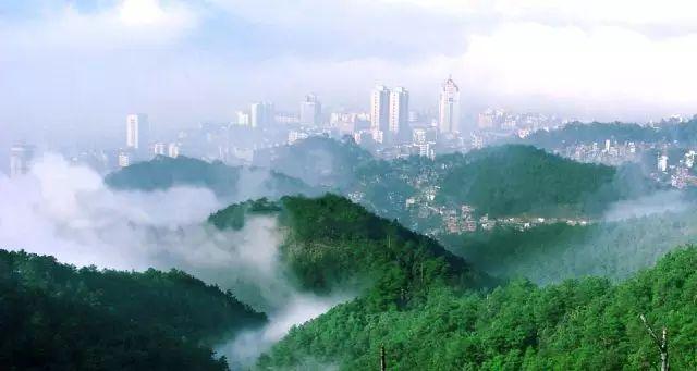 广西梧州有那些著名的景点，广西梧州最著名十大旅游景点（网红景点、美食之旅）