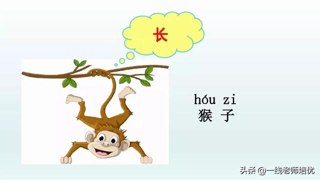 带有提手旁的字大多与什么有关，提手旁的字有哪些（部编版小学语文一年级上册第6课《比尾巴》重点知识+图文解读）