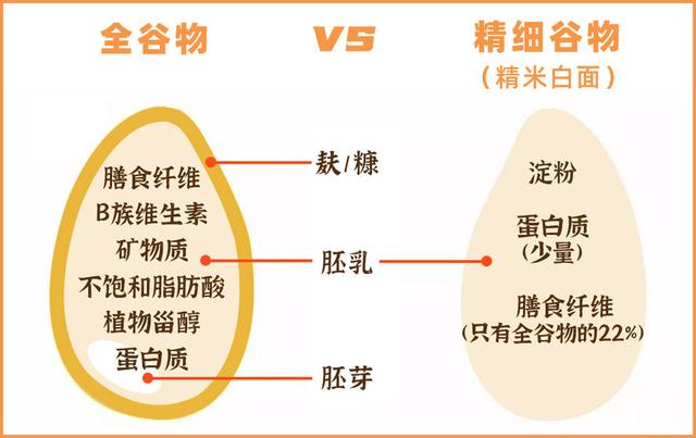 12种全麦面包，实测11款，告诉你哪款更健康