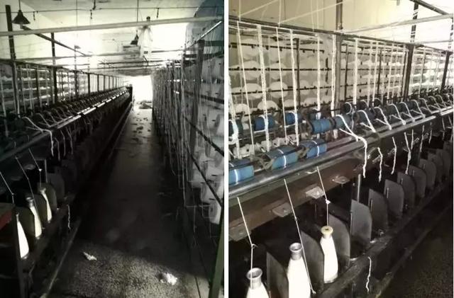 包芯纱是什么面料，纺织人常识之包芯纱是什么