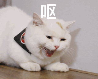 猫咪干呕怎么回事，猫干呕是怎么回事（猫咪呕吐是怎么回事）