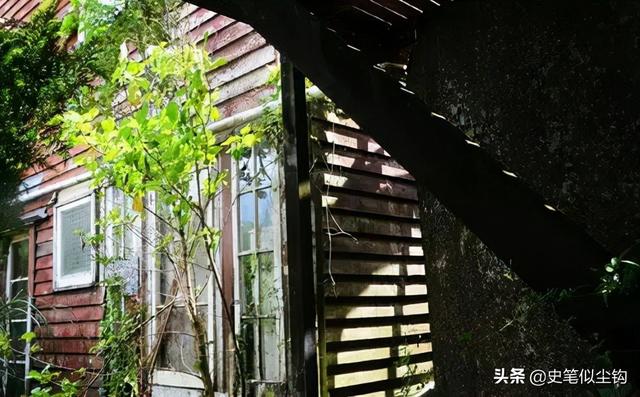 揭晓顾城死亡真相，顾城死因之谜（医生赶到后却被姐姐顾乡拦住）