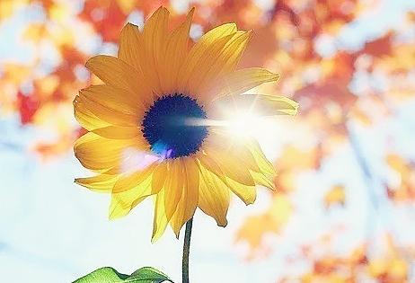 beside怎么读，besides