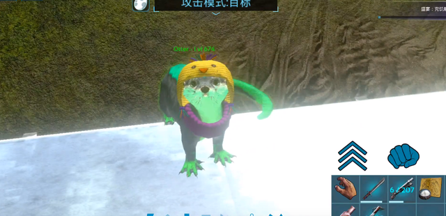 方舟生存进化水獭吃什么，方舟生存进化水獭驯服后吃什么（生存进化》手游小水獭有的可不只是可爱）