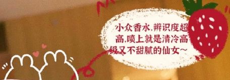 字母站是什么意思，什么叫字母站（王思聪前女友豆得儿经历了什么）