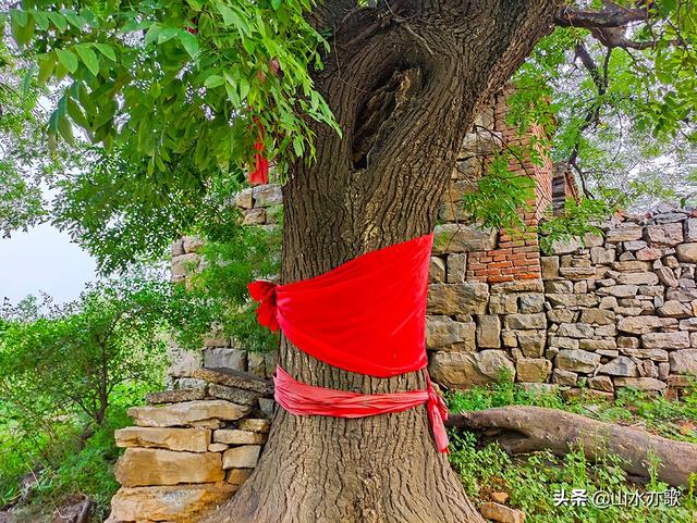 秦皇古道在哪呢，秦皇古道的简介（一座因唐僧晾经而得名的山岭）