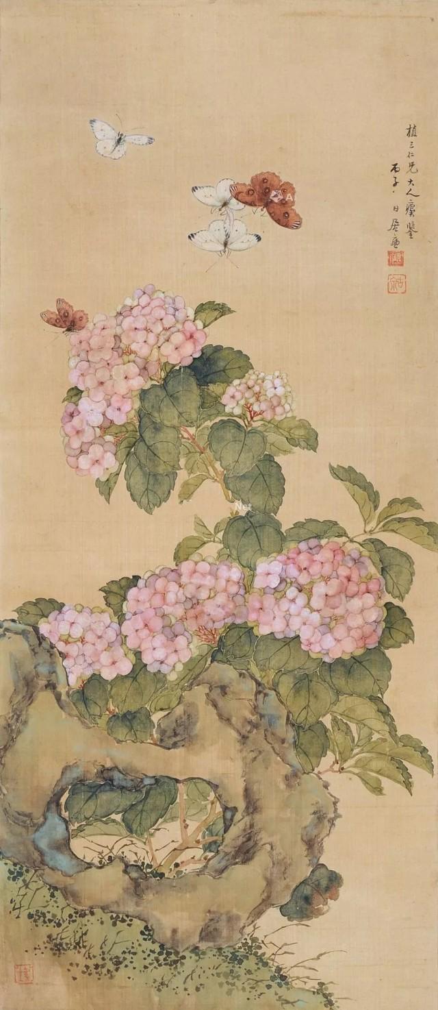 绣球怎么画，绣球怎么画的图片大全（这么难画的绣球花）
