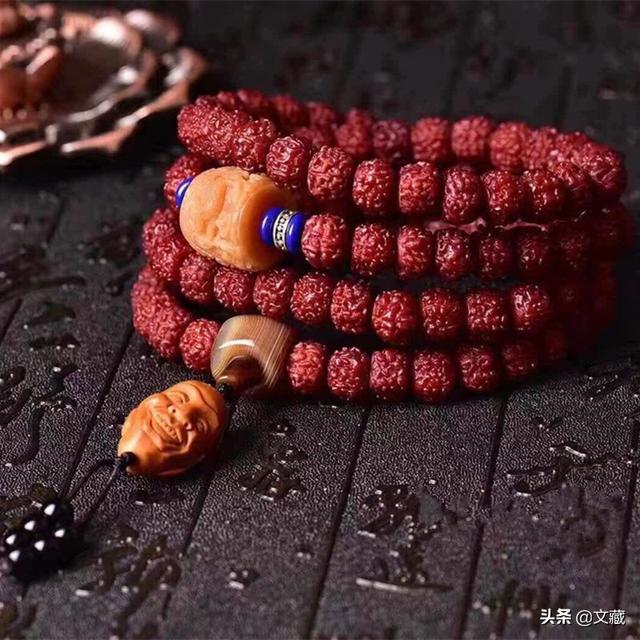 金刚菩提是什么，金刚菩提是什么树的果实（金刚菩提，寓意非凡的佛门圣物）