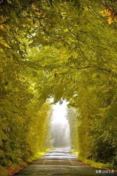 内蒙古人所说的风季是哪个季节，蒙古人的风季是什么季节（中国历史地理常识大全）
