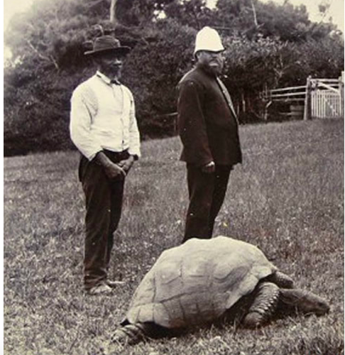 英国的国宝是什么动物，加拿大的国宝是什么动物（从道光时期活到现在）