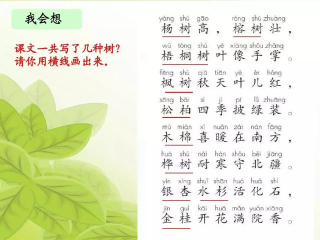 汉字松的组词，松的组词（部编版二年级语文上册识字2《树》知识点+图文解读）