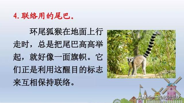 带有提手旁的字大多与什么有关，提手旁的字有哪些（部编版小学语文一年级上册第6课《比尾巴》重点知识+图文解读）