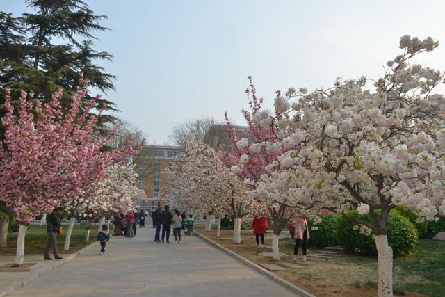 适合低分录取的二本大学公办，全国分数低的公办二本大学有哪些（两所公办二本院校）