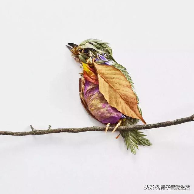 儿童手工树叶贴画，儿童手工树叶贴画图片 一等奖（树叶、树枝、花朵都拿来贴画了）
