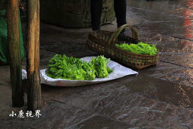 成都黄龙溪古镇好玩吗，成都黄龙溪古镇有什么好玩的（微雨中游览黄龙溪古镇）