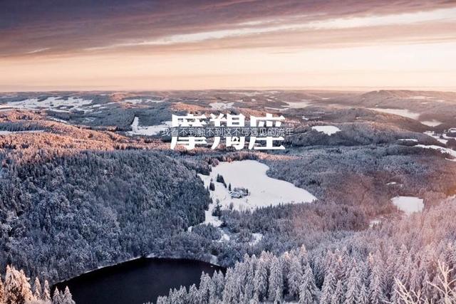 本能系统论，本能系统论医学视频文字版（深入剖析——摩羯座本能行为背后的的思维逻辑）