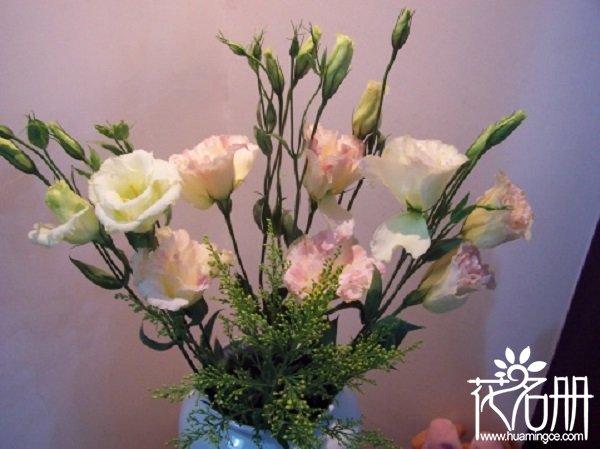 表示男男相恋的花的花语，史上最准的生男特征（十种花语代表爱情的花）