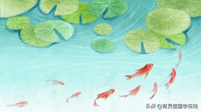 论语五则及其大意，和尚伸脚、子见南子、子产受欺