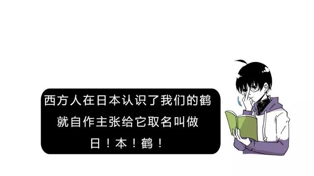 中国的国鸟是什么鸟,中国的国鸟是什么动物(绝大多数的人都不知道) 中国的国鸟是什么鸟,中国的国鸟是什么动物(绝大多数的人都不知道)