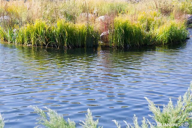 巨人观尸体是什么意思，巨人观尸是什么意思 巨人观图片（一例“巨人观”的故事）