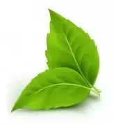 usl是什么意思，老态龙钟是什么意思（在公司混，不懂点统计学怎么行）