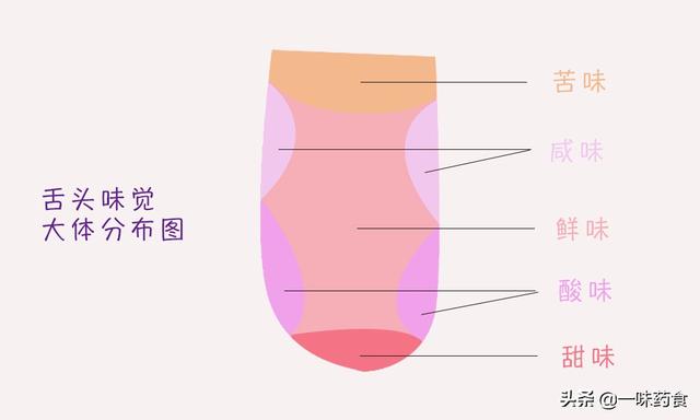 甘味是什么味道（中医中的五味并不单单指五种味道）