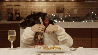 木糖醇的危害，木糖醇的功效与副作用（狗狗偷吃蛋糕后身亡）