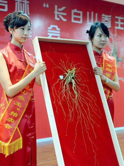 怎样区分山参，怎样区分山参和洋参（为什么野生人参远超黄金）