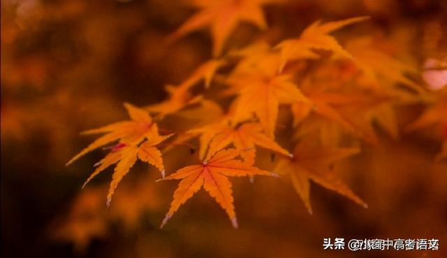 愿伯具言臣之不敢倍德也翻译，愿伯具言,臣之不敢倍德也翻译（120个文言实词汇编：第一辑）