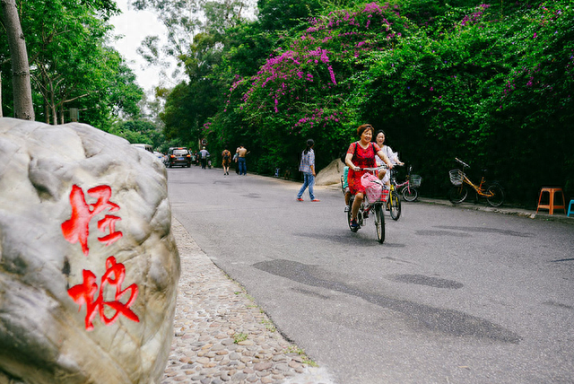 打卡厦门文曾路怪坡，东西从坡底滚到坡顶，其实是眼睛欺骗了自己