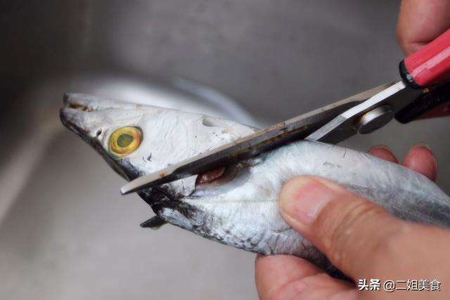 怎么洗带鱼又快又干净，怎样洗带鱼既快又干净（处理带鱼别怕麻烦）