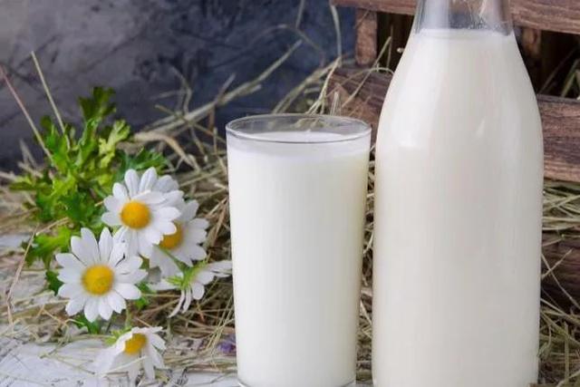 伊利经典有机奶，伊利金典有机奶（从“四面受敌”到“红极一时”）