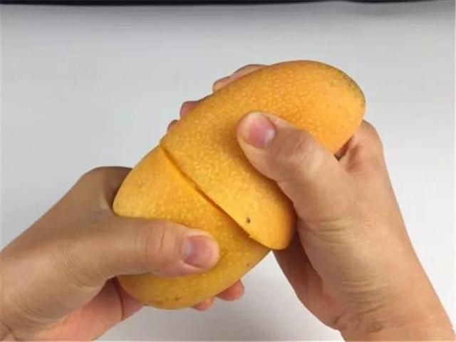 芒果种子怎么种，一个夏天就能长成小树苗