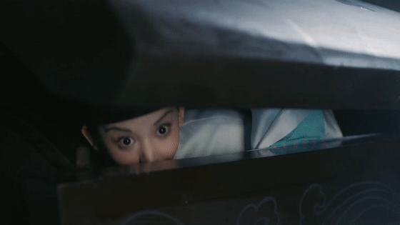 风起霓裳怎么读，风起霓裳念什么字（网友表示好可惜）