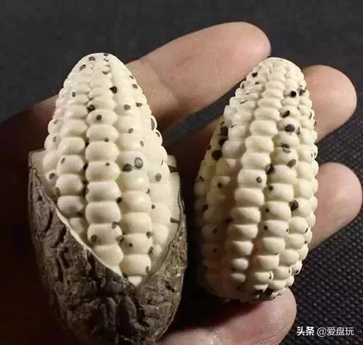 象牙果盘玩后效果图，象牙果是什么（这些小众配饰，太过瘾了）