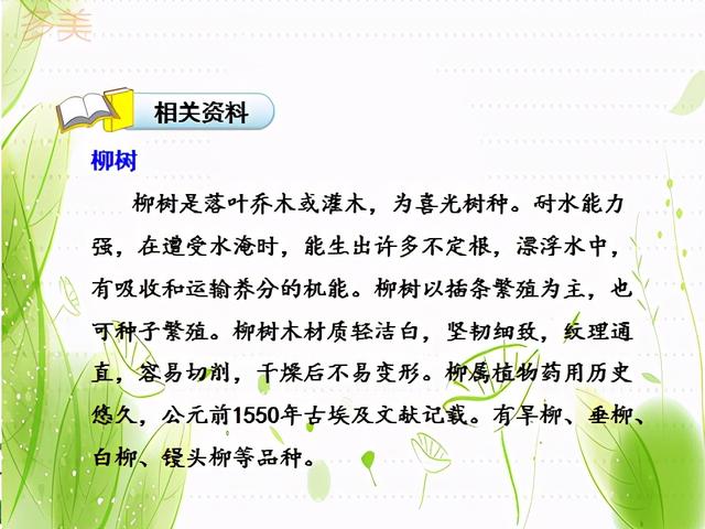 咏柳古诗的意思是什么，咏柳古诗的的意思（二下语文《古诗二首》---《咏柳》教案、课件）