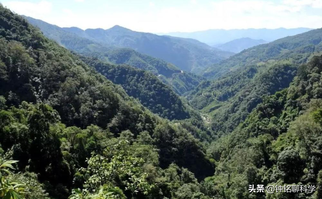 为什么叫哀牢山，哀牢山为什么叫哀牢山（为何科技如此发达，人还会走丢）