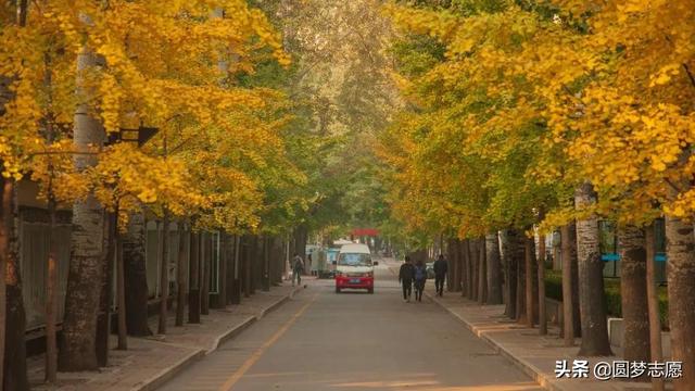 211非985大学名单，2021年九个顶尖211（<非985>和末流985）